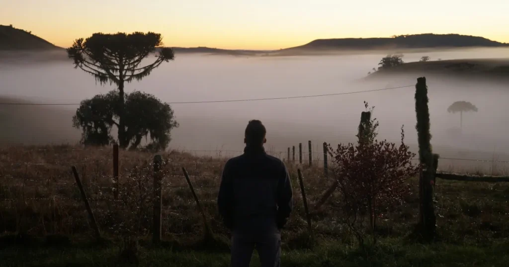 将来への不安を、1人の男性が遠くの景色を見ている後ろ姿の写真で表現